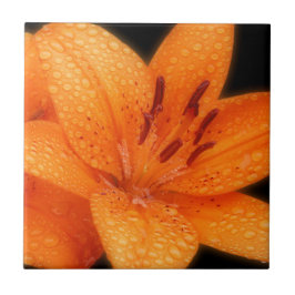 Asiatiska tigerlilier i Rain-Kissed Orange Kakelplatta