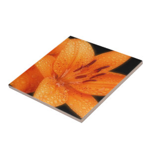 Asiatiska tigerlilier i Rain-Kissed Orange Kakelplatta