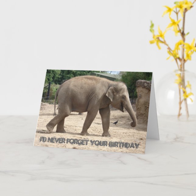 Asiatiskt elefant-Walking på sand Birthday-kort Kort (Gul blomma)