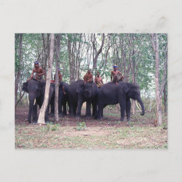 Asiatiskt elefantvykort vykort