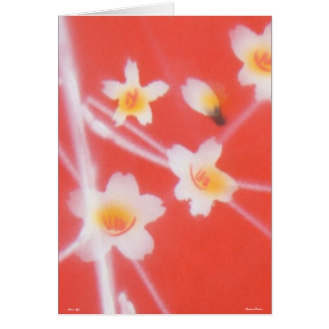 Asiatiskt Stil-kort - kort - (Framsidan)