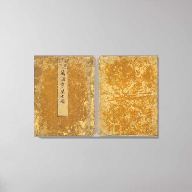 Asien 46 canvastryck (Framsida)