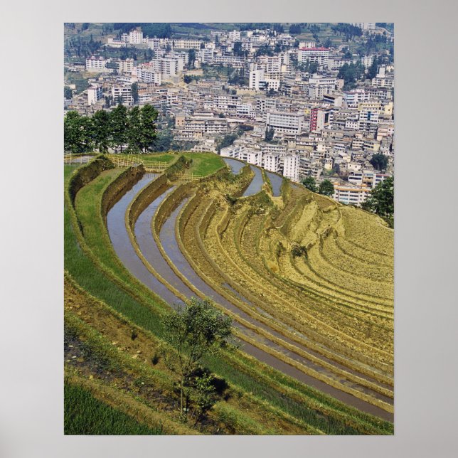 Asien, China, provinsen Yunnan, Jinping. Jinping Poster (Framsidan)