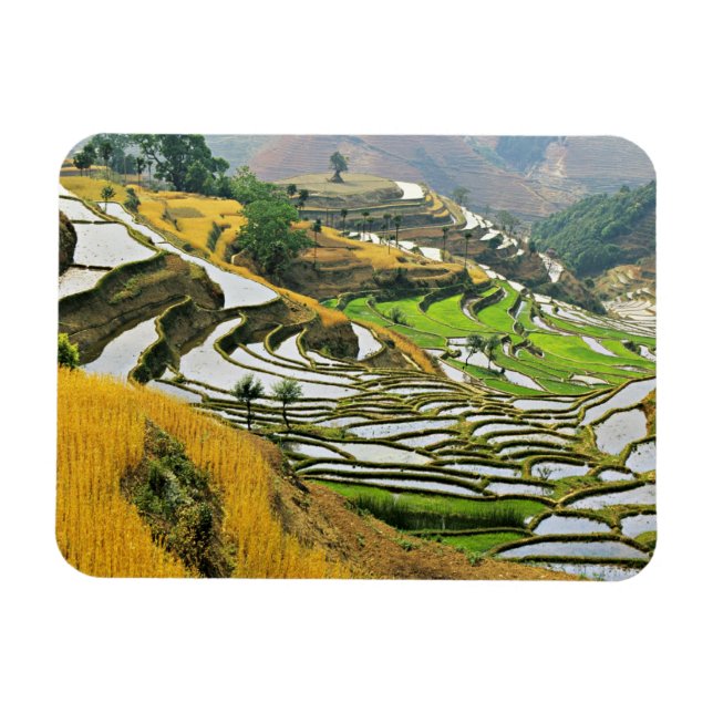 Asien, China, Yunnan, Yuxi-prefekturen, Yuanjiang. Magnet (Horisontell)