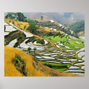 Asien, China, Yunnan, Yuxi-prefekturen. Yuanjiang. Poster