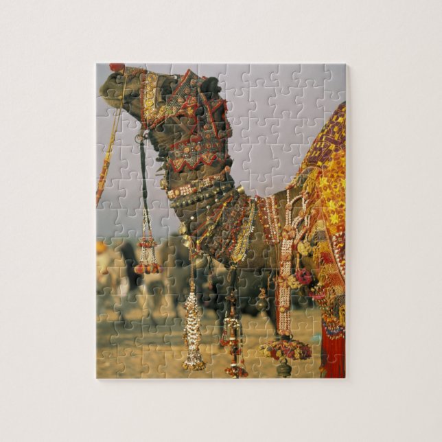 Asien, Indien, Pushkar. Kamel Shamu, Pushkar Pussel (Vertikal)