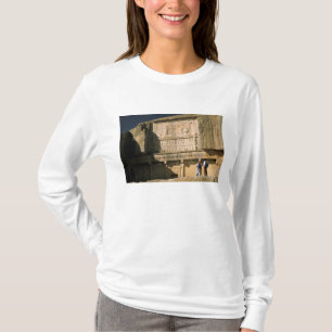 Asien, Iran, Persepolis.Grav i Darius Underbaren. Tröja