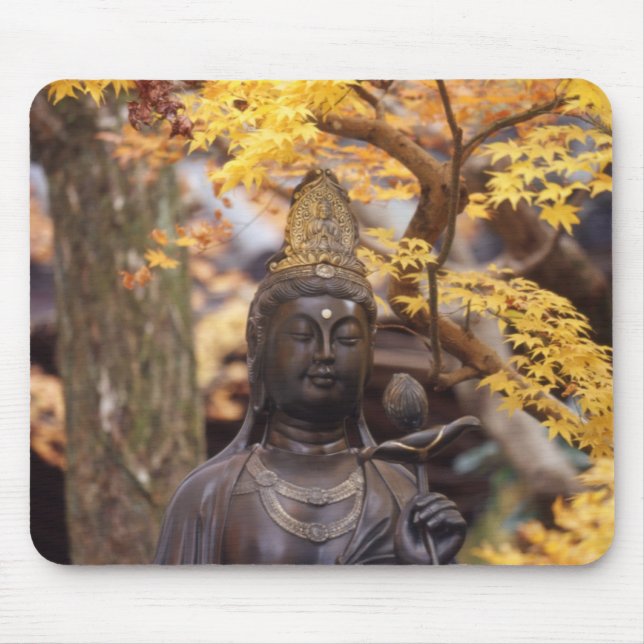 Asien, Japan, Buddha Musmatta (Framsidan)