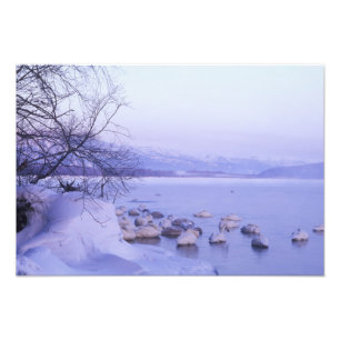 Asien, Japan, Hokkaido, Akan NP, Whopper-svancar Fototryck