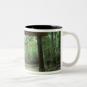 Asien, Japan, Kagoshima, Yakushima, Berg Två-Tonad Mugg