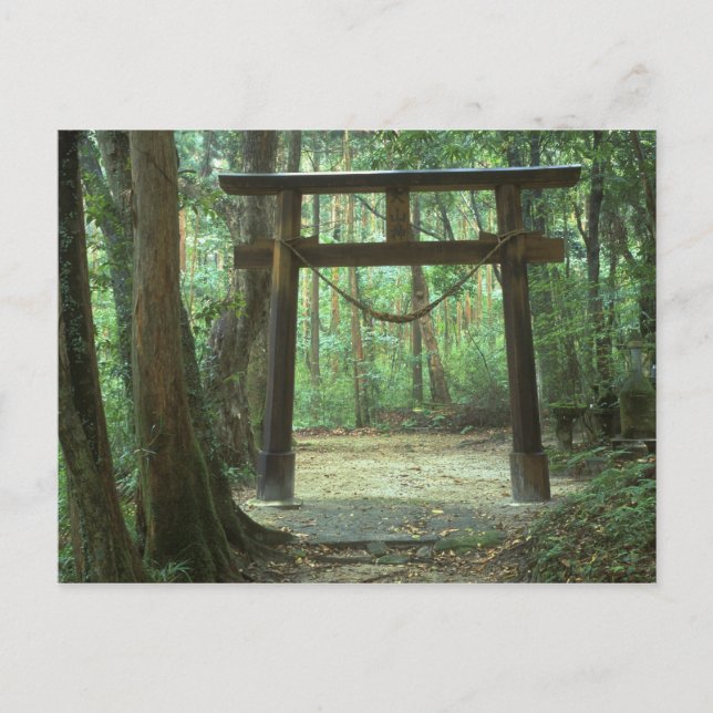 Asien, Japan, Kagoshima, Yakushima, Berg Vykort (Framsida)