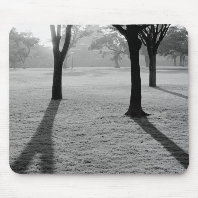 Asien, Japan, Kumamoto. Sunrise över Kumamoto, jo Musmatta (Framsidan)