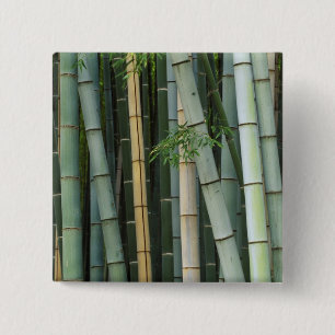 Asien, Japan, Kyoto, Arashiyama, Sagano, Bambu Knapp