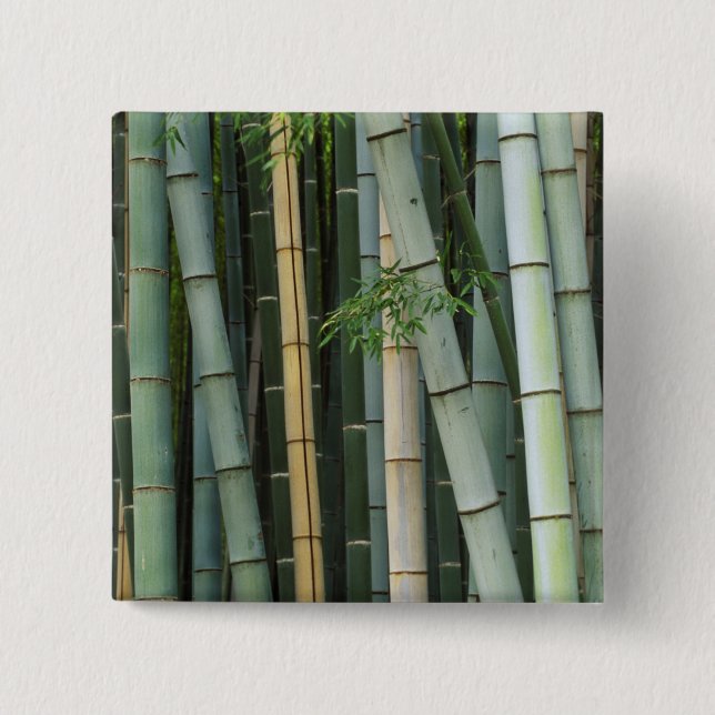 Asien, Japan, Kyoto, Arashiyama, Sagano, Bambu Knapp (Framsida)