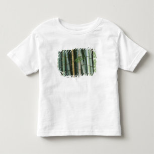 Asien, Japan, Kyoto, Arashiyama, Sagano, Bambus T Shirt