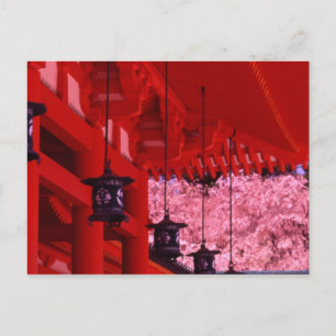 Asien, Japan, Kyoto, Heian-helgedomen om våren. Vykort