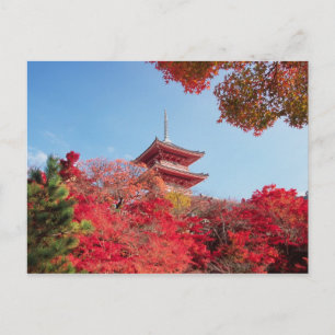 Asien, Japan, Kyoto. Hösten Färg Vykort