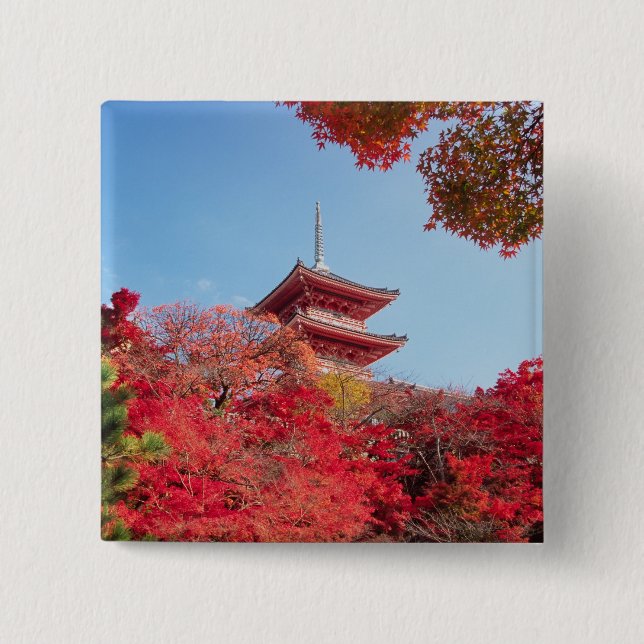 Asien, Japan, Kyoto. Höstfärg Knapp (Framsida)