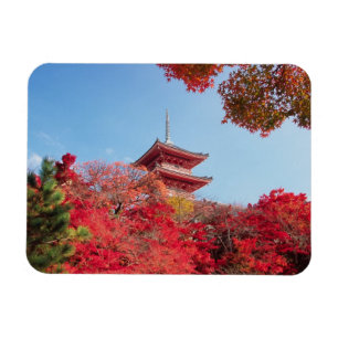 Asien, Japan, Kyoto. Höstfärg Magnet