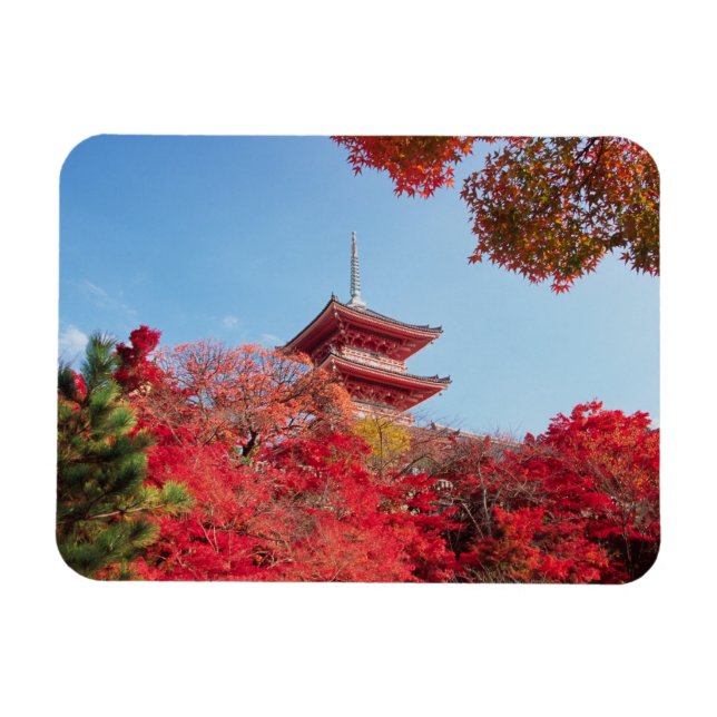 Asien, Japan, Kyoto. Höstfärg Magnet (Horisontell)