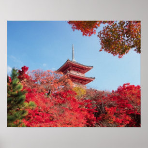 Asien, Japan, Kyoto. Höstfärg Poster