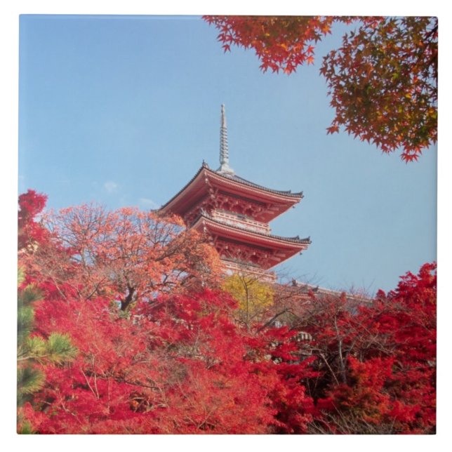 Asien, Japan, Kyoto. Höstfärger Kakelplatta (Framsidan)
