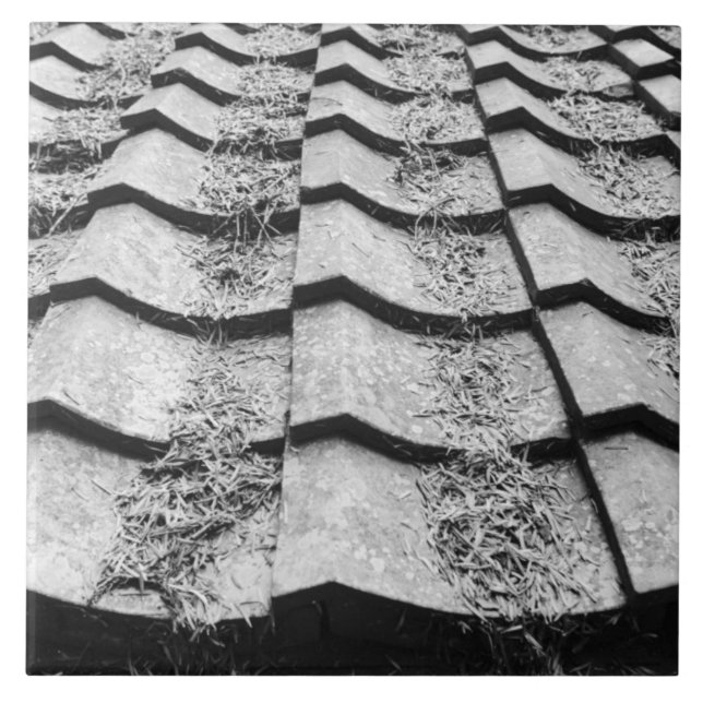 Asien, Japan, Miyajima. Uppgifter om Clay tak Kakelplatta (Framsidan)