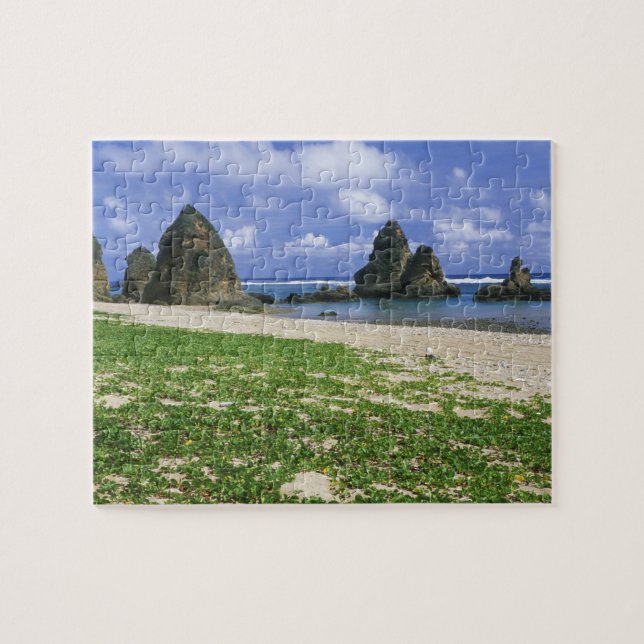 Asien, Japan, Okinawa, Yambaru Kusten, Sea Pussel (Horisontell)