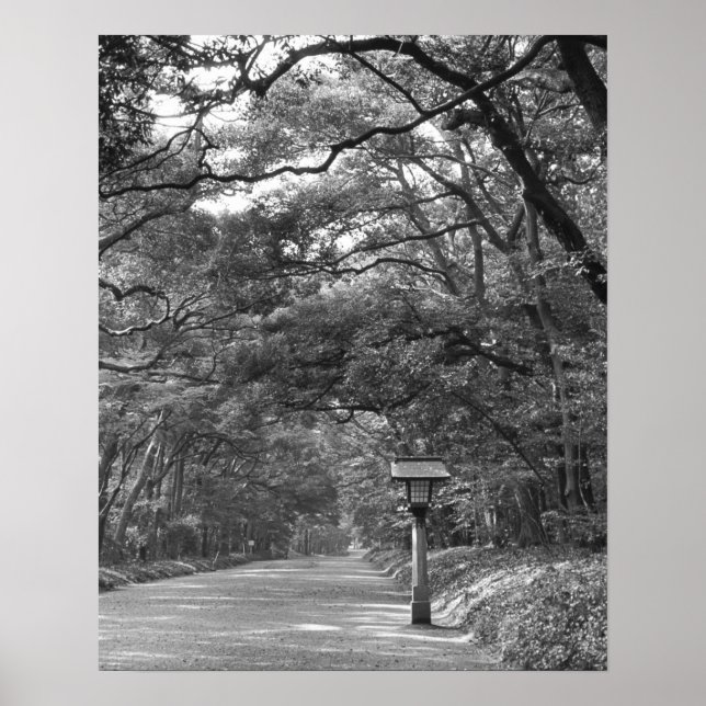 Asien, Japan, Tokyo, Grounds of Meiji Shrine Poster (Framsidan)