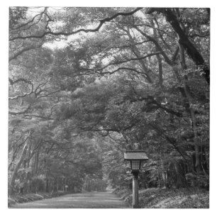 Asien, Japan, Tokyo, Meiji Shrine-området, Kakelplatta