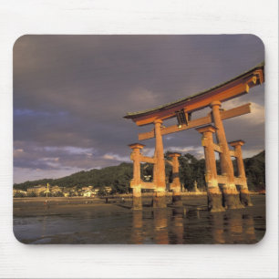 Asien, Japan, västra Honshu, Miya, Jima Island, Musmatta
