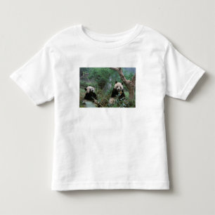 Asien, Kina, Chengdu. Jättepandas skyddade område T Shirt