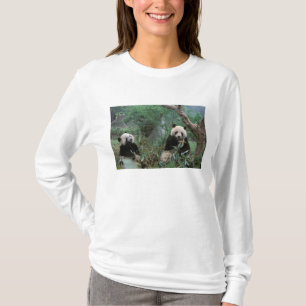 Asien, Kina, Chengdu. Jättepandas skyddade område T Shirt