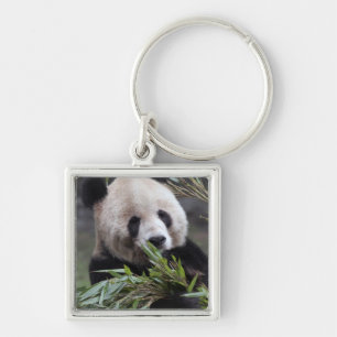 Asien, Kina Chongqing. Jättepanda Fyrkantig Silverfärgad Nyckelring