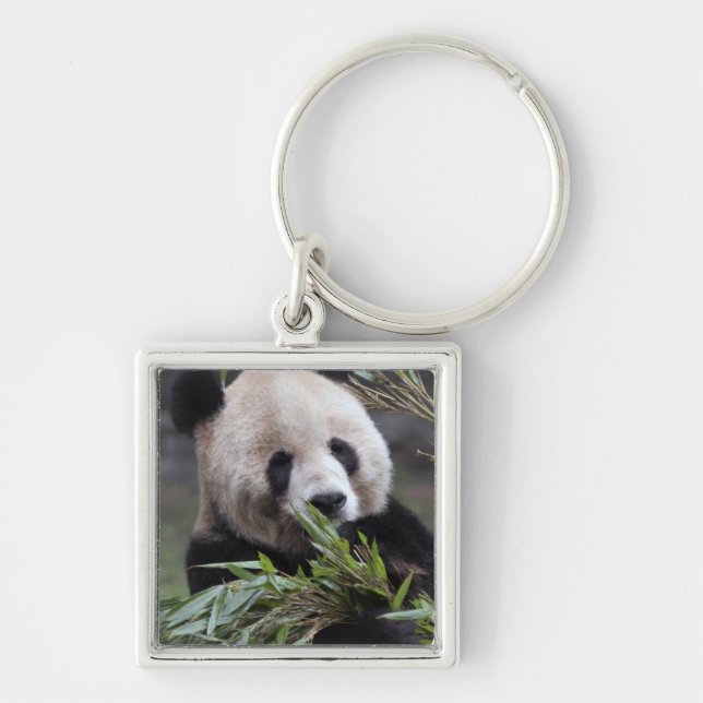 Asien, Kina Chongqing. Jättepanda Fyrkantig Silverfärgad Nyckelring (Framsidan)