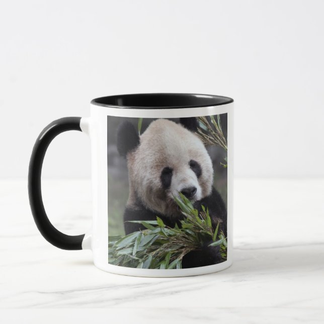 Asien, Kina Chongqing. Jättepanda Mugg (Vänster)