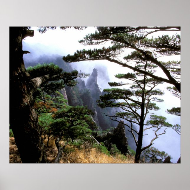 Asien, Kina, Huanshan. Gula berget Poster (Framsidan)