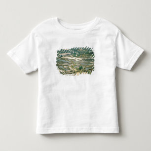 Asien, Kina. Översvämmade risterrasser nära Nano Tee Shirt