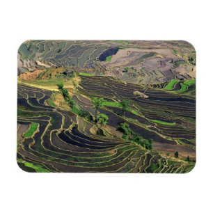 Asien, Kina, Yunnan, Honghe. Rissterrasser nära Magnet
