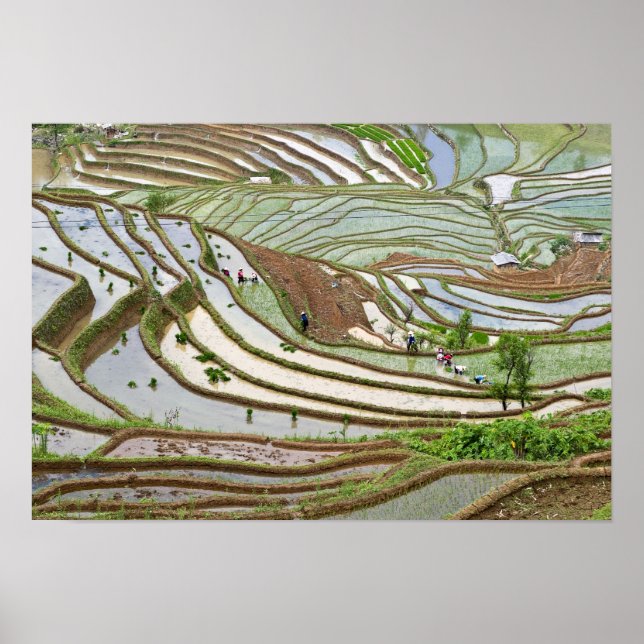 Asien, Kina, Yunnan, Jinping. Infödda Yi-folk Poster (Framsidan)