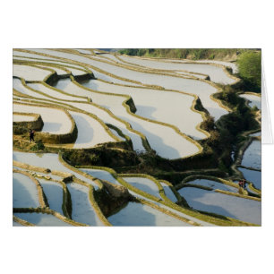 Asien, Kina, Yunnan-provinsen, Yuanyang härad. Hälsningskort