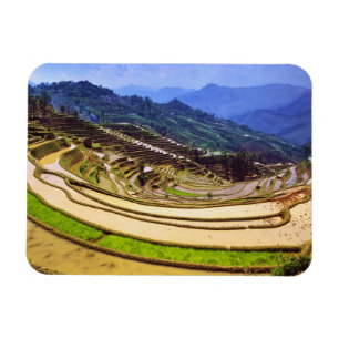 Asien, Kina, Yunnan-provinsen, Yuanyang härad. Magnet