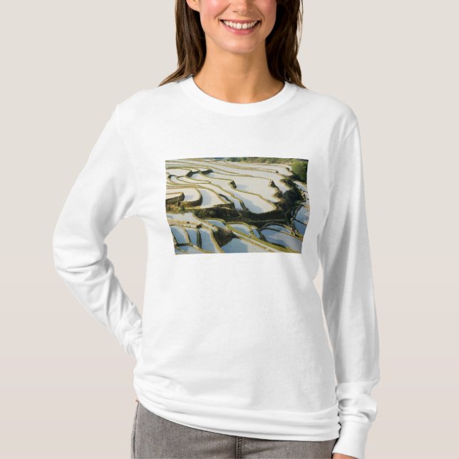 Asien, Kina, Yunnan-provinsen, Yuanyang härad. T-shirt (Framsida)