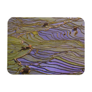 Asien, Kina, Yunnan-provinsen, Yuanyang. Översvämm Magnet