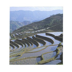 Asien, Kina, Yunnan, Yuanyang. Kuperad Anteckningsblock
