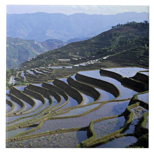Asien, Kina, Yunnan, Yuanyang. Kuperad Kakelplatta (Framsidan)