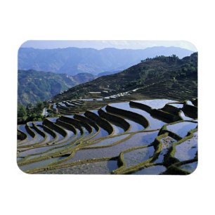 Asien, Kina, Yunnan, Yuanyang. Kuperad Magnet