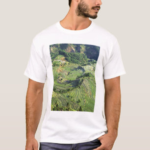 Asien, Kina, Yunnan, Yuanyang. Mönster av grönt T Shirt