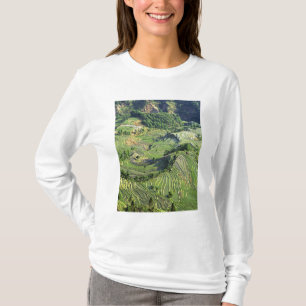 Asien, Kina, Yunnan, Yuanyang. Mönster av grönt Tee Shirt