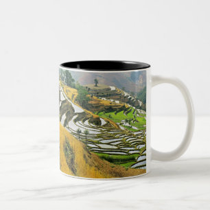 Asien, Kina, Yunnan, Yuxi prefektur; Yuanjiang. Två-Tonad Mugg